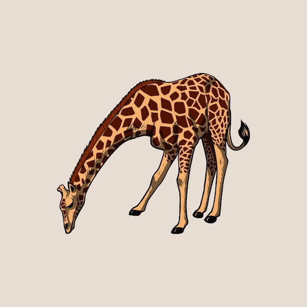 Giraffe savanne