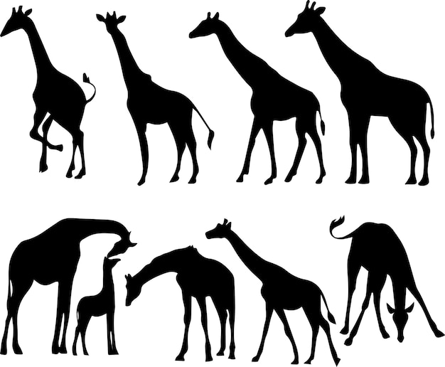 Giraffe Silhouette Majestic Wildlife Illustration