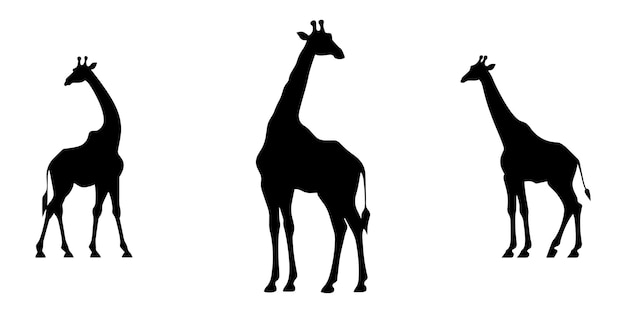 Giraffe Silhouette Vector Art Illustration