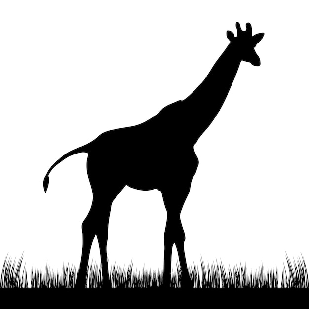 жираф силуэт вектор