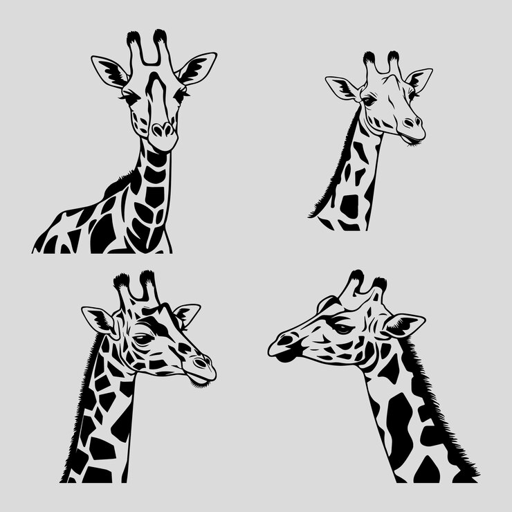 Giraffe Vector Designs for Eye Catching Design Elements
