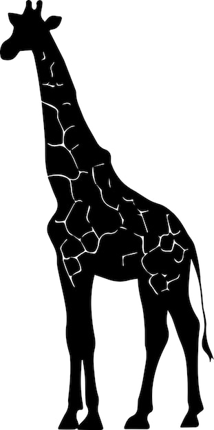 Giraffe vector silhouette illustration black color