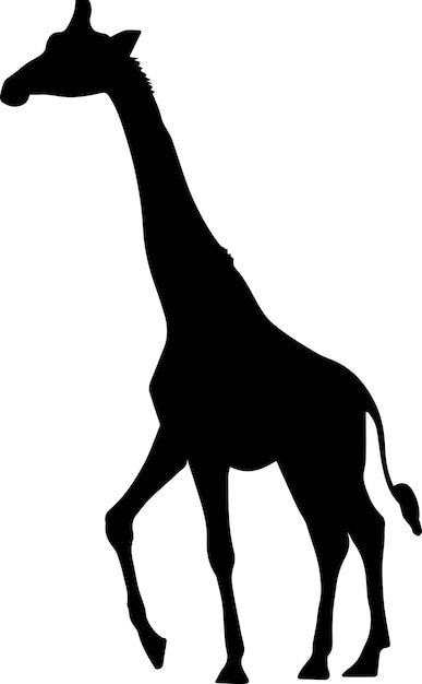 Giraffe vector silhouette illustration black color