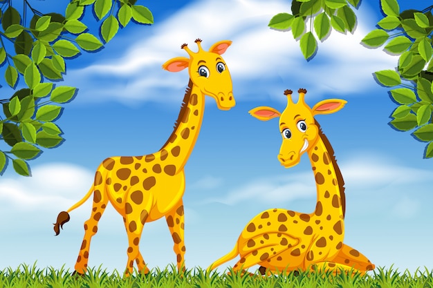 Giraffen in jungle scene