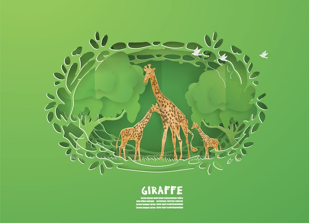 자연, 동물, 야생 동물에 녹색 숲에서 Giraffes 가족.