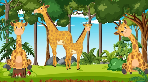 Жирафы в лесной сцене