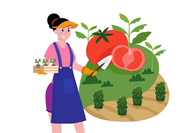 the girl brought the growing tomato plant come and plant it in the ground at your farm or garden flat style cartoon illustration vector