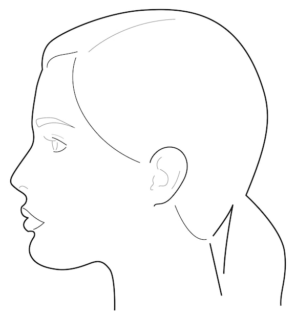 Vector girl looking side. female face. girl face. format vector