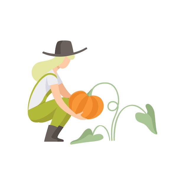 Girl picking pumpkin farmer harvesting woman working in the garden vector Illustration isolated on a white background