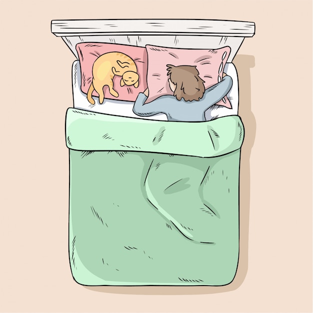 Vector girl sleeping peacefully in her bed with her cat.