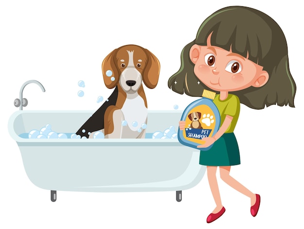 A girl washing her beagle dog