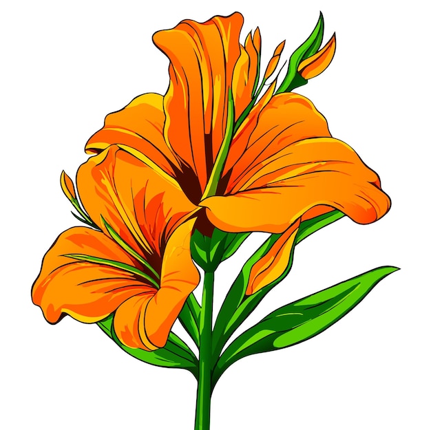 グラディオラスのオレンジ色の花と緑色の葉