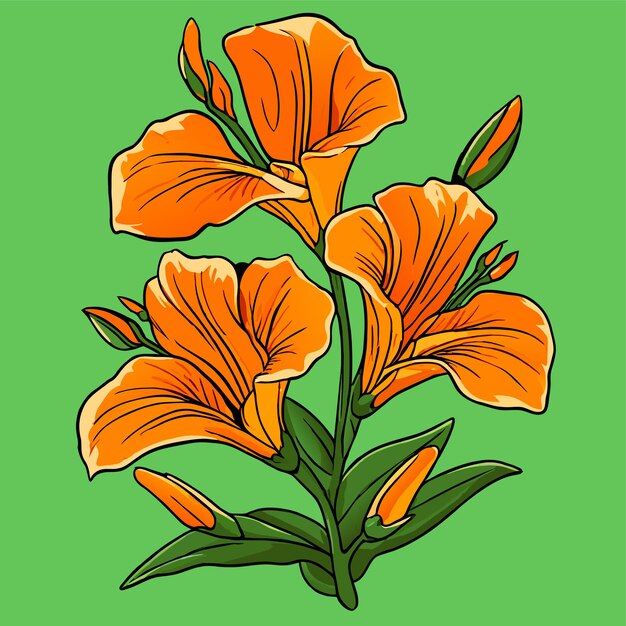 Vector gladiolus orange flower with green leaves