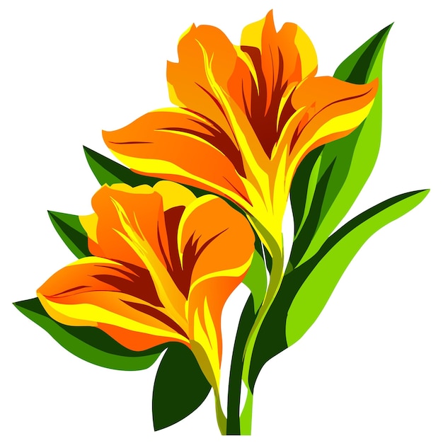 Vector gladiolus orange flower with green leaves