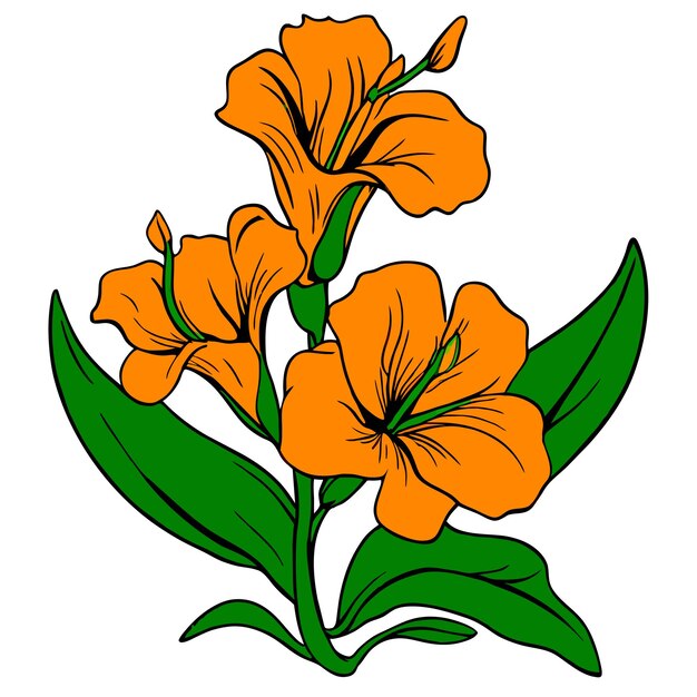 Vector gladiolus orange flower with green leaves