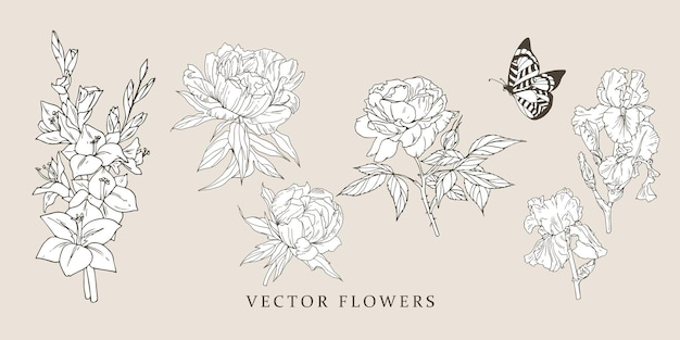 Gladiolo, peonia, rosa, iris, farfalla. illustrazioni vintage con fiori vintage. disegno vettoriale