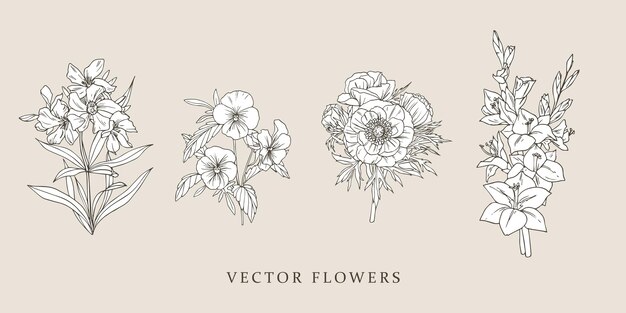 Vector gladiolus, viola, anemone. vintage illustrations set with vintage flowers. vector design. isolated w