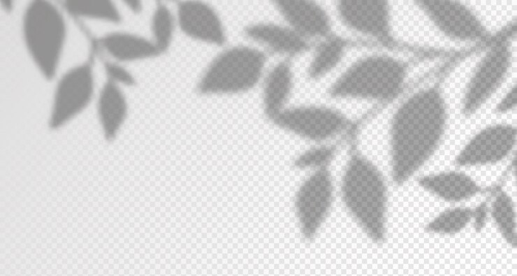 太陽の光が壁を照らす 葉や植物の影がぼんやりする 自然光の柔らかい覆い 製品のプレゼンテーションのための抽象的な背景 自然の光のレイアウト