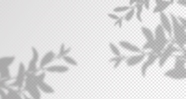 Vector glare from the suns rays on the wall blurred shadows from leaves and plants in the room