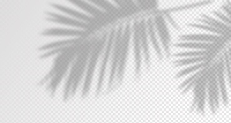 Vector glare from the suns rays on the wall blurred shadows from leaves and plants in the room