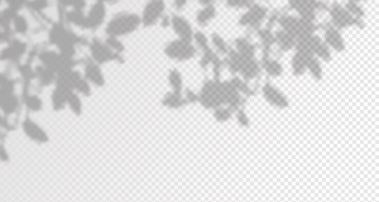 Vector glare from the suns rays on the wall blurred shadows from leaves and plants in the room