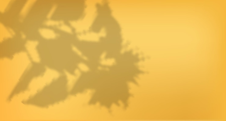 Vector glare from the suns rays on the wall blurred shadows from leaves and plants in the room