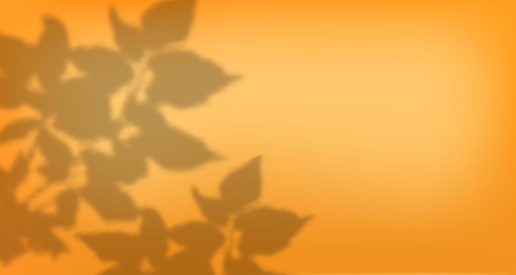 Vector glare from the suns rays on the wall blurred shadows from leaves and plants in the room