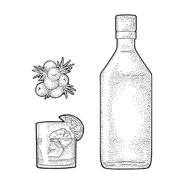 Стакан и бутылка джина и ветки можжевельника винтажная гравировка