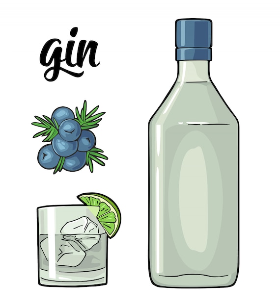 Vettore vetro e bottiglia di gin e ramo di ginepro con frutti di bosco