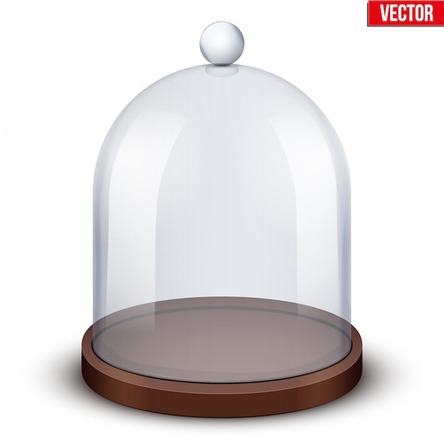 Vector glass dome on white background