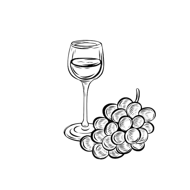 Glass of grape wine vector line drawing