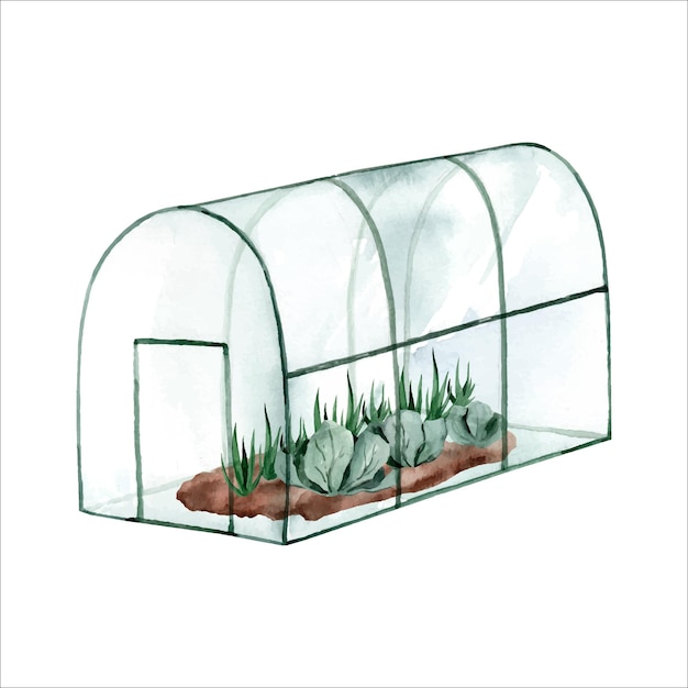 Glass greenhouse for fruits and vegetables watercolor hand drawing isolated on white background agriculture