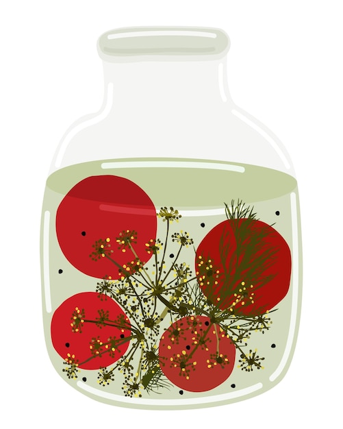 Glass jar of pickled tomatoes with dill and peppercorns. Vector isolated illustration.