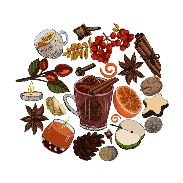 Vector glass of seasonal hot wine drink in circle of spices and fruits.