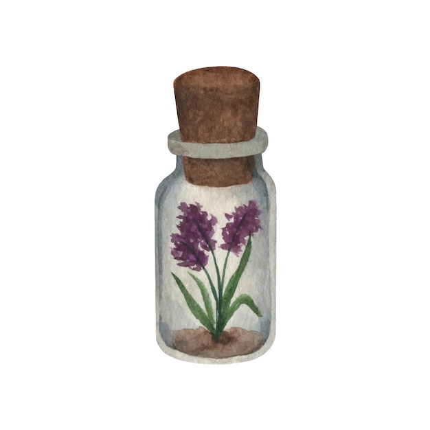 Vaso piccolo in vetro con lavanda provenzale villaggio e coperchio in sughero clipart acquerello disegnato a mano