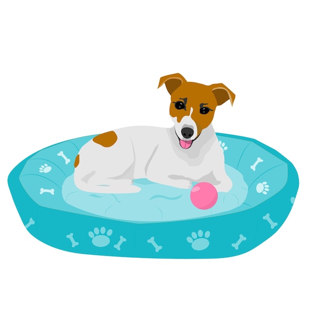 Glimlachende Jack Russell Terrier liggend op een turquoise bed Vectorillustratie