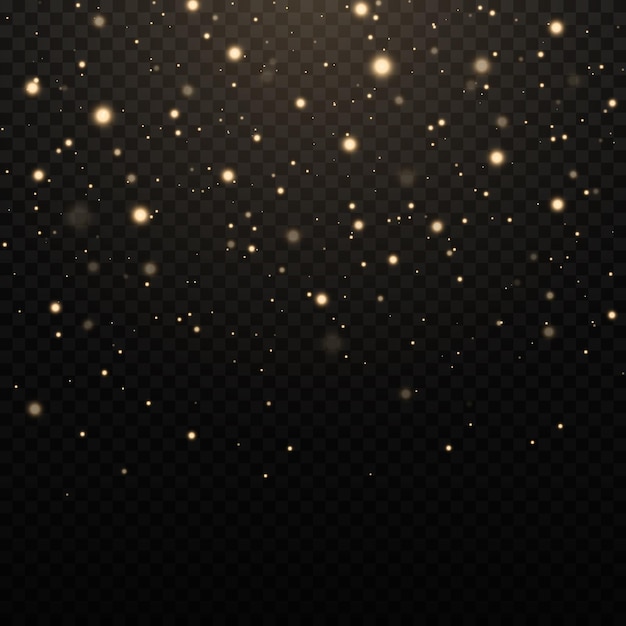 Vector glitter effect of particles the dust sparks and golden stars shine with special light