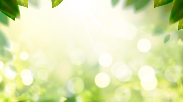 Вектор Сверкающая природа боке фон с рамкой из зеленых листьев в 3d