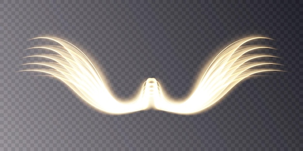 Gloeiende gouden vleugels op transparante achtergrond vector.