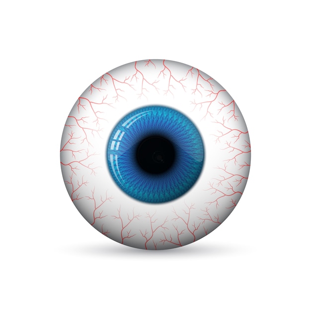 glossy 3d eye.   illustration.