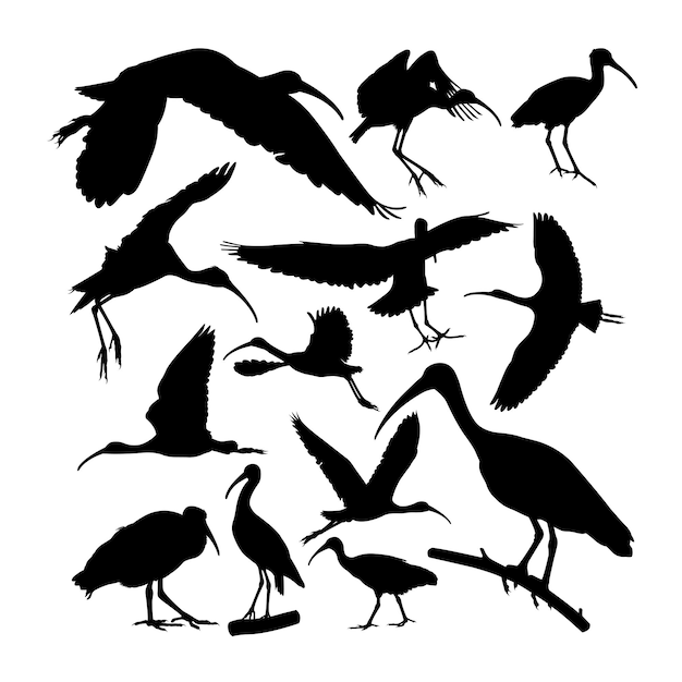 Glossy ibis bird animal silhouettes