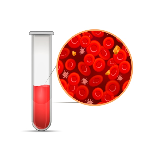 Provetta medica lucida con composizione di sangue rosso infografica con eritrociti, globuli bianchi, colesterolo e plasma su bianco