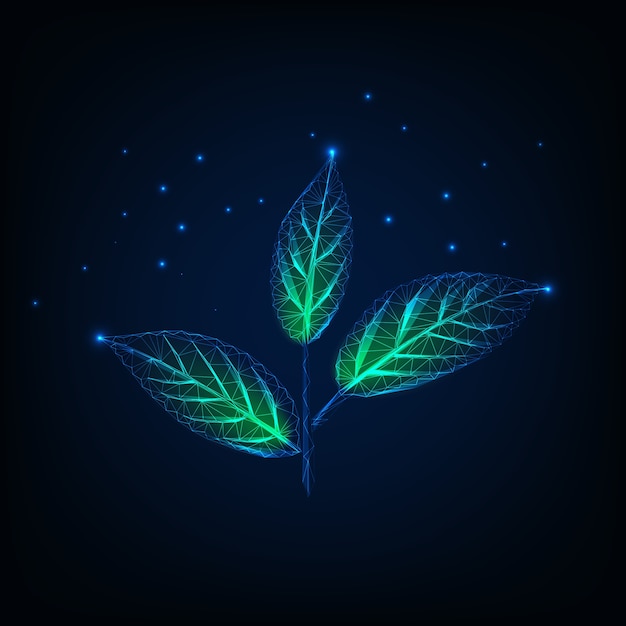 Vector glowing  low poly plant with stem and green leaves