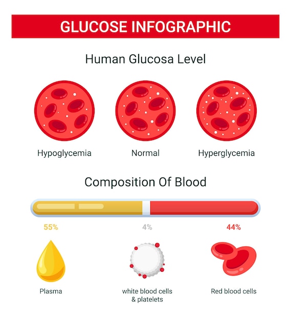 Vettore infografica del glucosio nel sangue, livello di glucosio umano, composizione del glucosio nel sangue