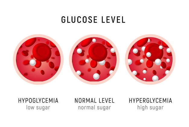 Vector glucose blood level sugar test diabetes insulin hypoglycemia or hyperglycemia diagram icon