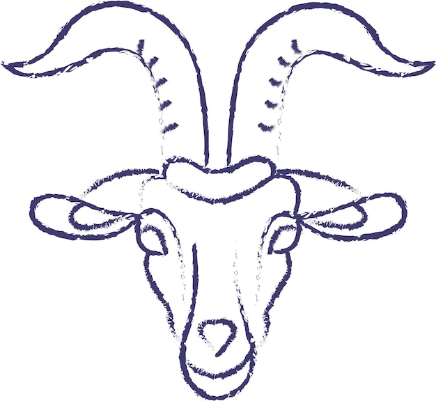 Goat face hand drawn vector illustration