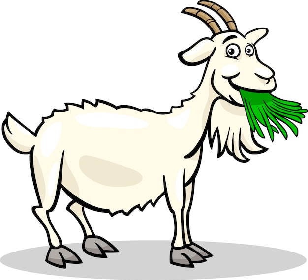 Goat farm animal cartoon illustration