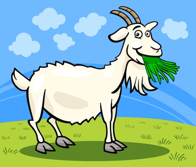 Goat farm animal cartoon illustration