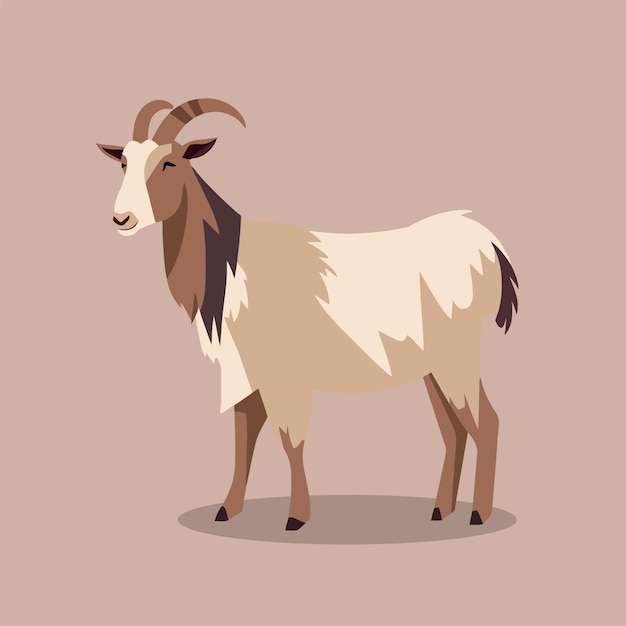 Vector goat flat vector cartoon style illustration 5