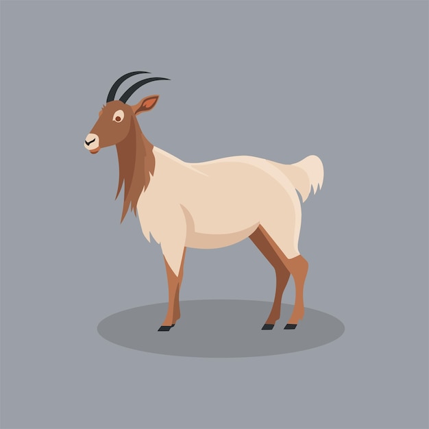 Vector goat flat vector cartoon style illustration 9